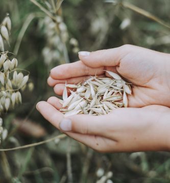 Recetas con Avena para Adelgazar: 8 Ideas Saludables y Saciantes