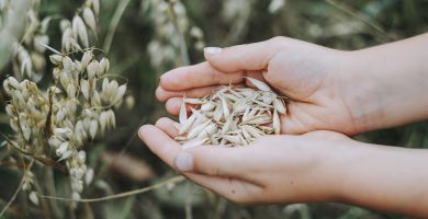 Recetas con Avena para Adelgazar: 8 Ideas Saludables y Saciantes